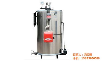 蒸汽鍋爐 蒸汽鍋爐哪個(gè)牌子好 蒸汽鍋爐在線報(bào)價(jià) 優(yōu)質(zhì)商家