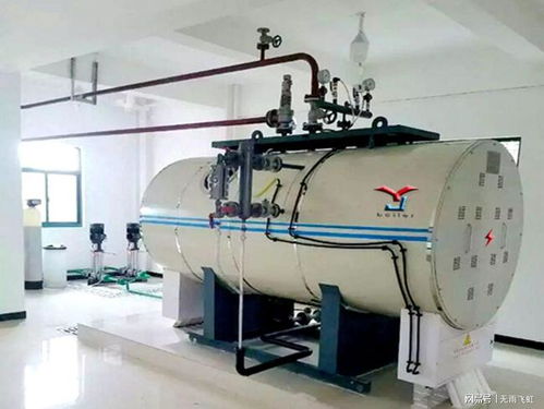 燃?xì)獠讳P鋼電開水爐,熱水鍋爐,蒸汽鍋爐安裝調(diào)試 使用注意事項(xiàng)