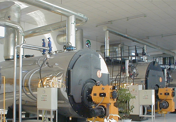 1噸燃氣蒸汽鍋爐 特種設備欄目的重要組成部分